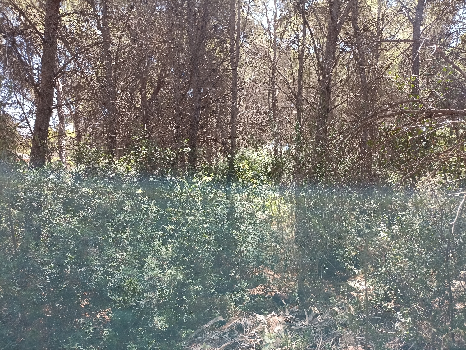  te koop perceel Moraira Marina Alta 6