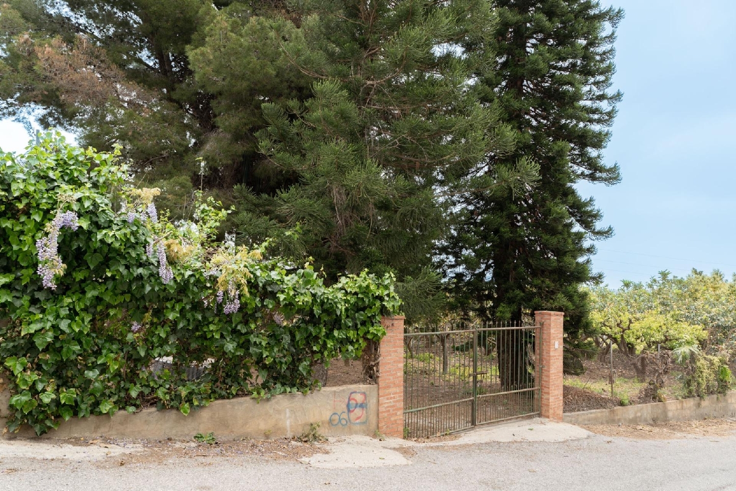  en venta terreno Motril Costa Tropical 4