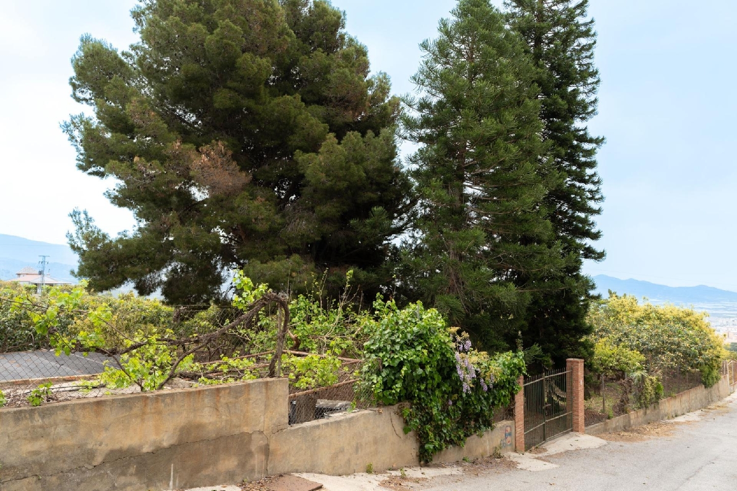  en venta terreno Motril Costa Tropical 3