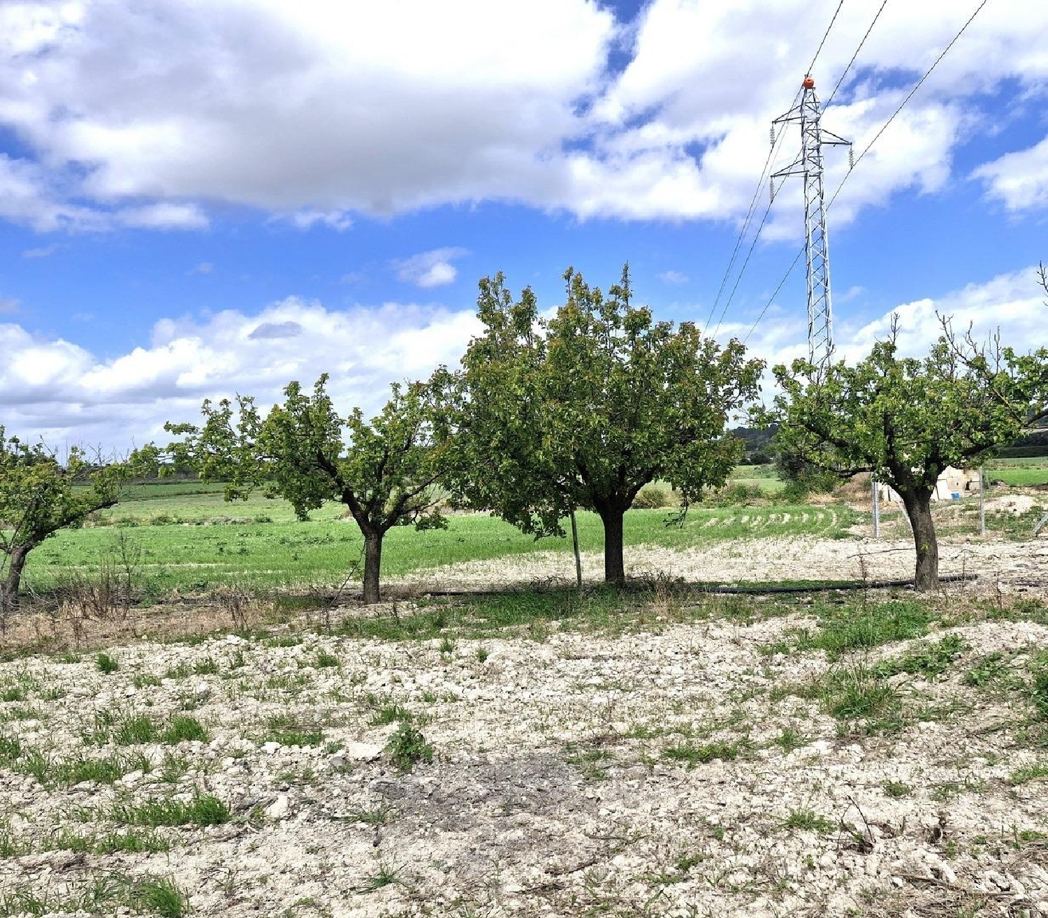  en venta terreno Muro Nord 7