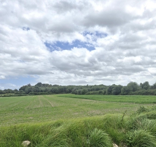 Muro Nord terreno foto 6370927