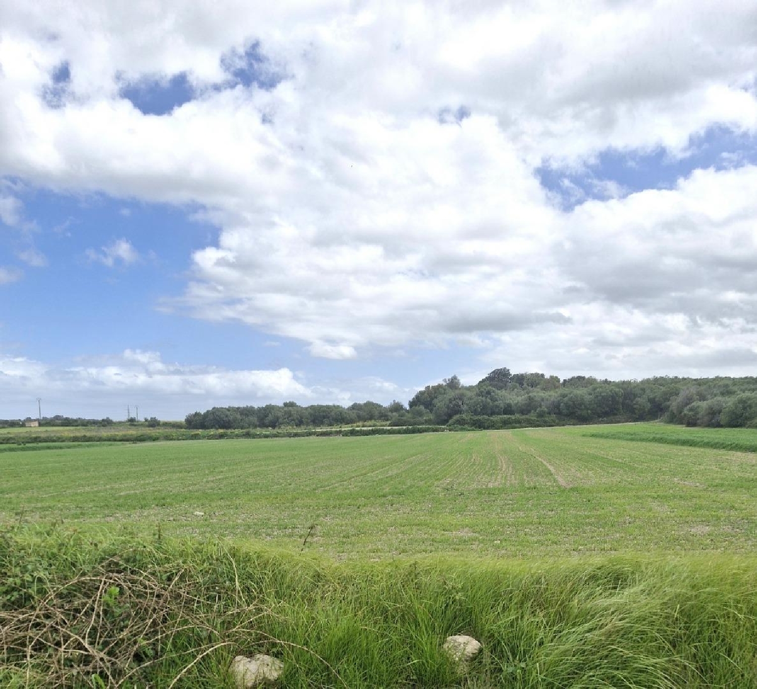  en venta terreno Muro Nord 6