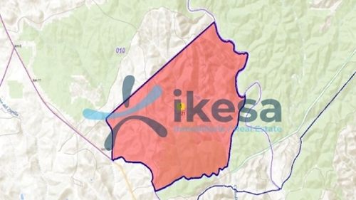 Niebla Condado (El) tomt foto 6372536