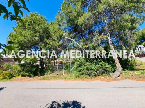 Paterna Del Madera Sierra Del Segura tomt foto 6370246