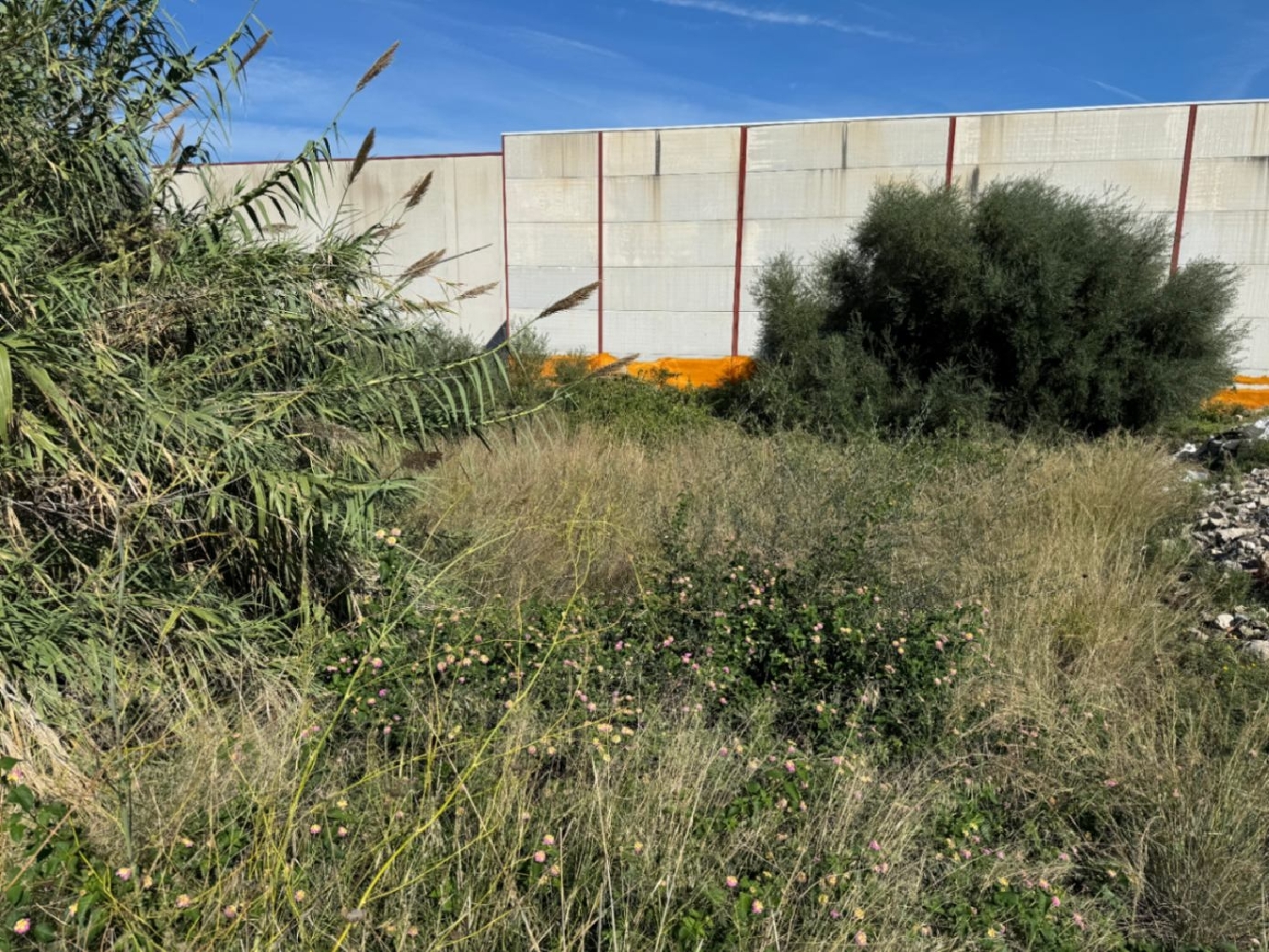  à vendre terrain Pego Marina Alta 3