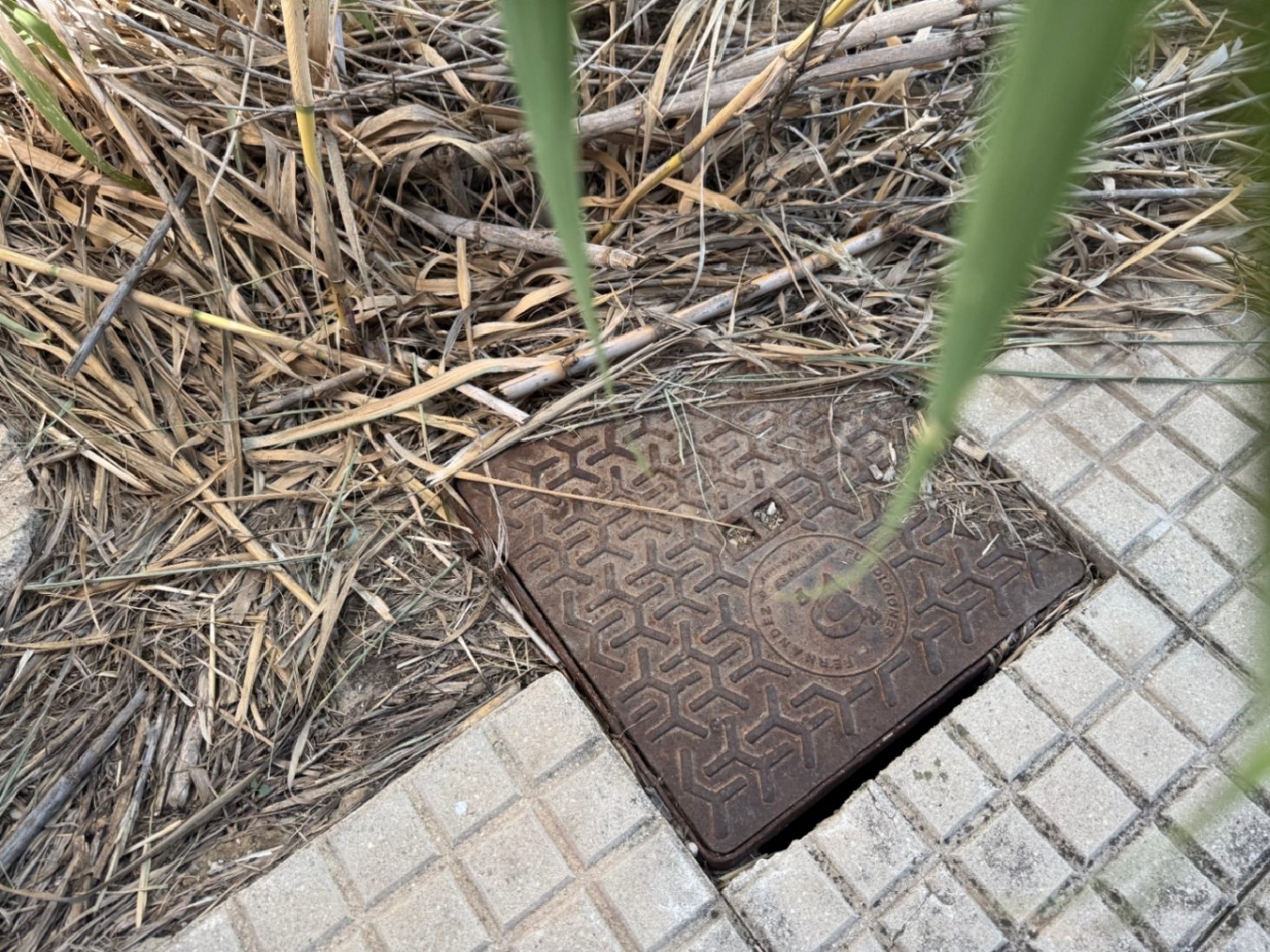  à vendre terrain Pego Marina Alta 11