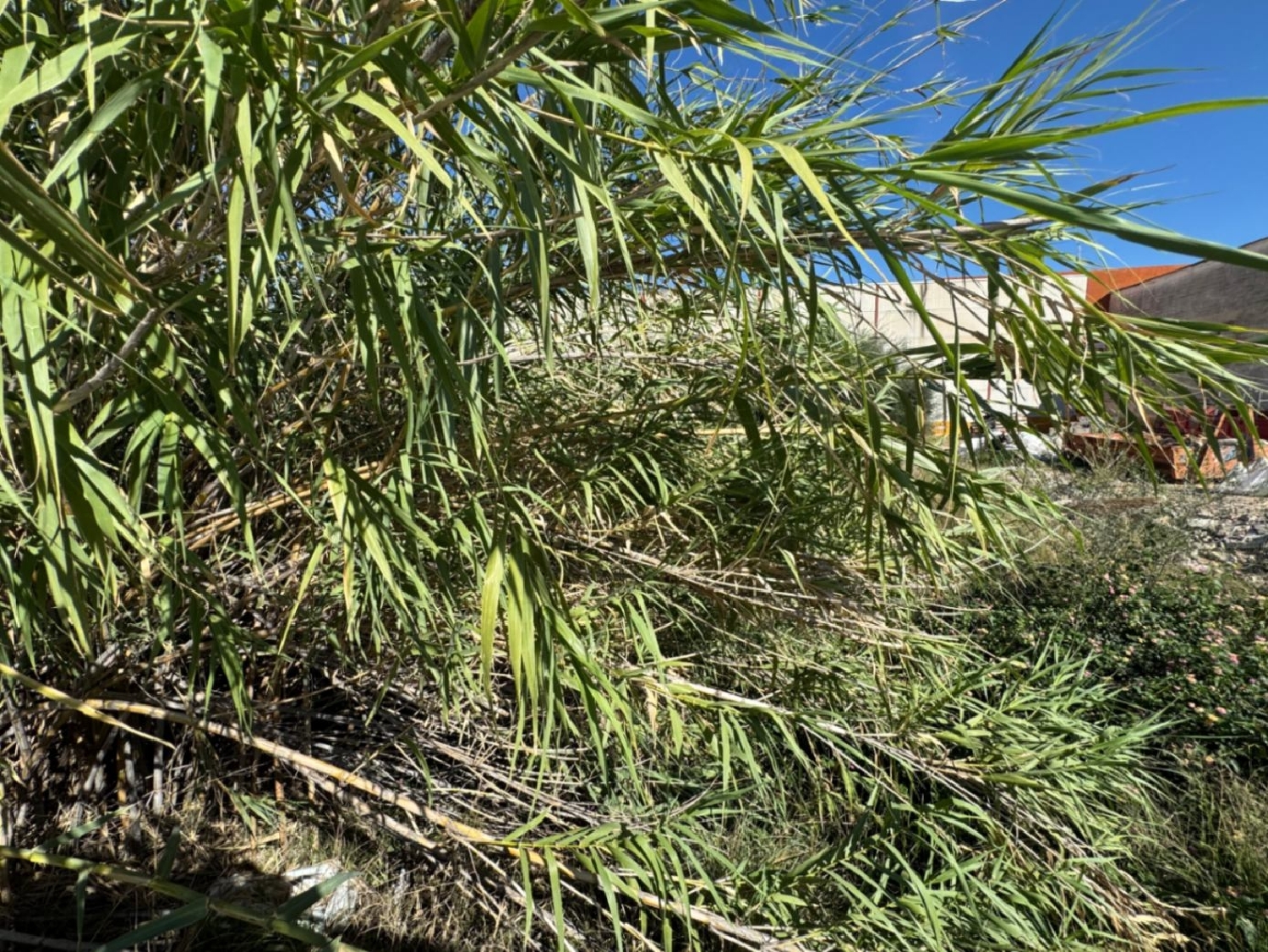  à vendre terrain Pego Marina Alta 6