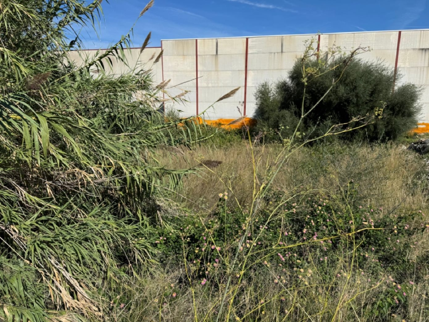  à vendre terrain Pego Marina Alta 5