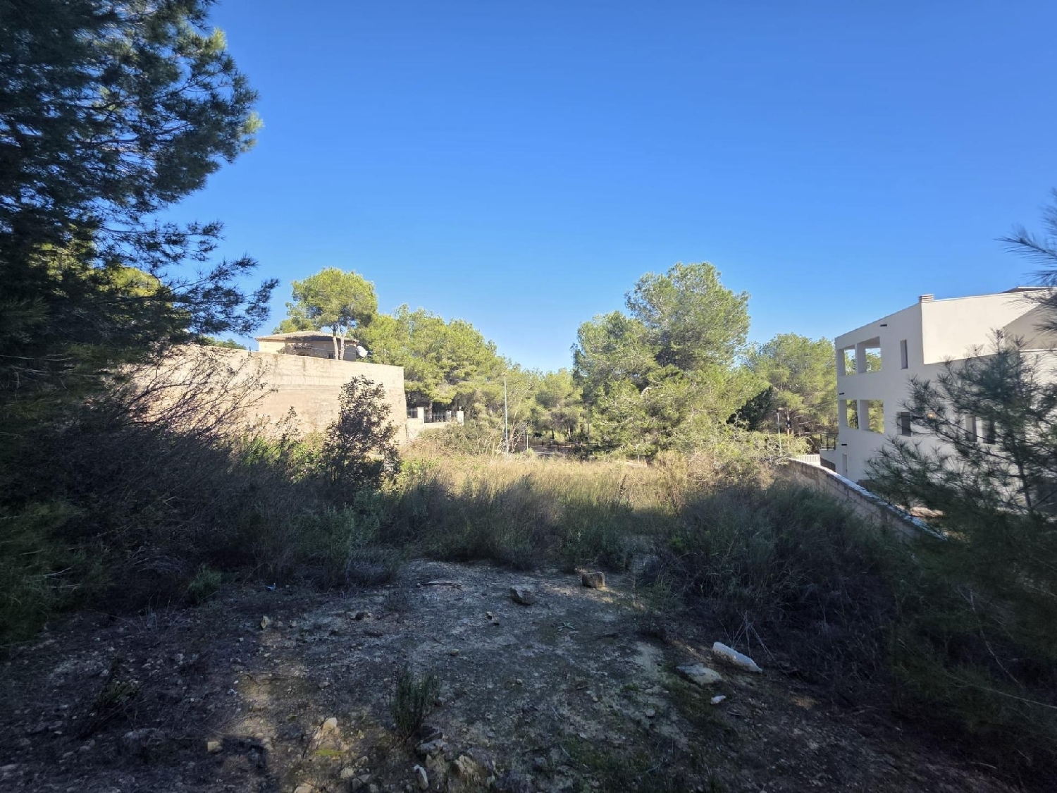  till salu tomt Pilar De La Horadada Baix Segura 1