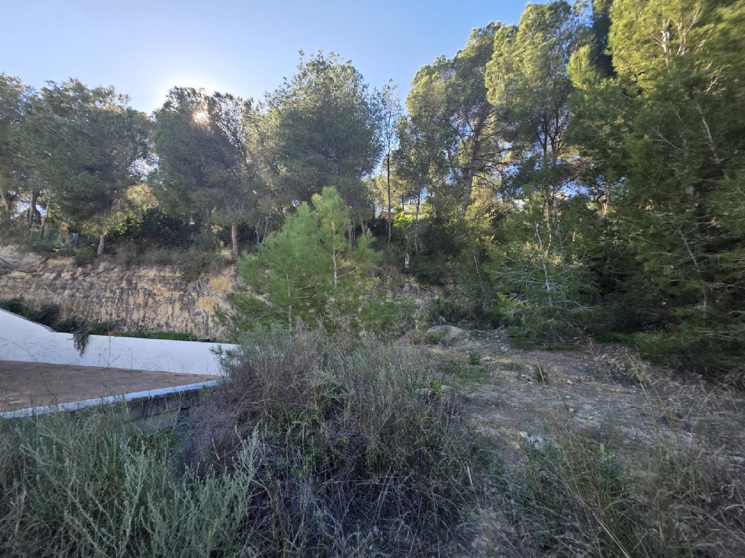  till salu tomt Pilar De La Horadada Baix Segura 7