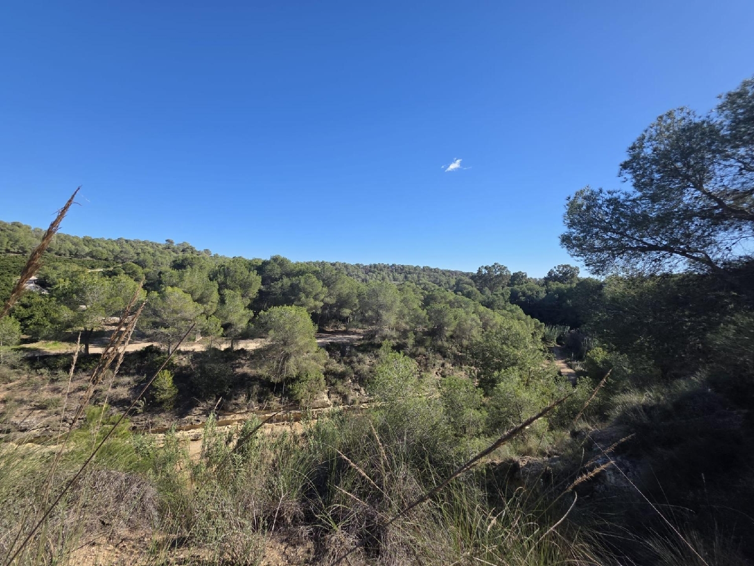  till salu tomt Pilar De La Horadada Baix Segura 4