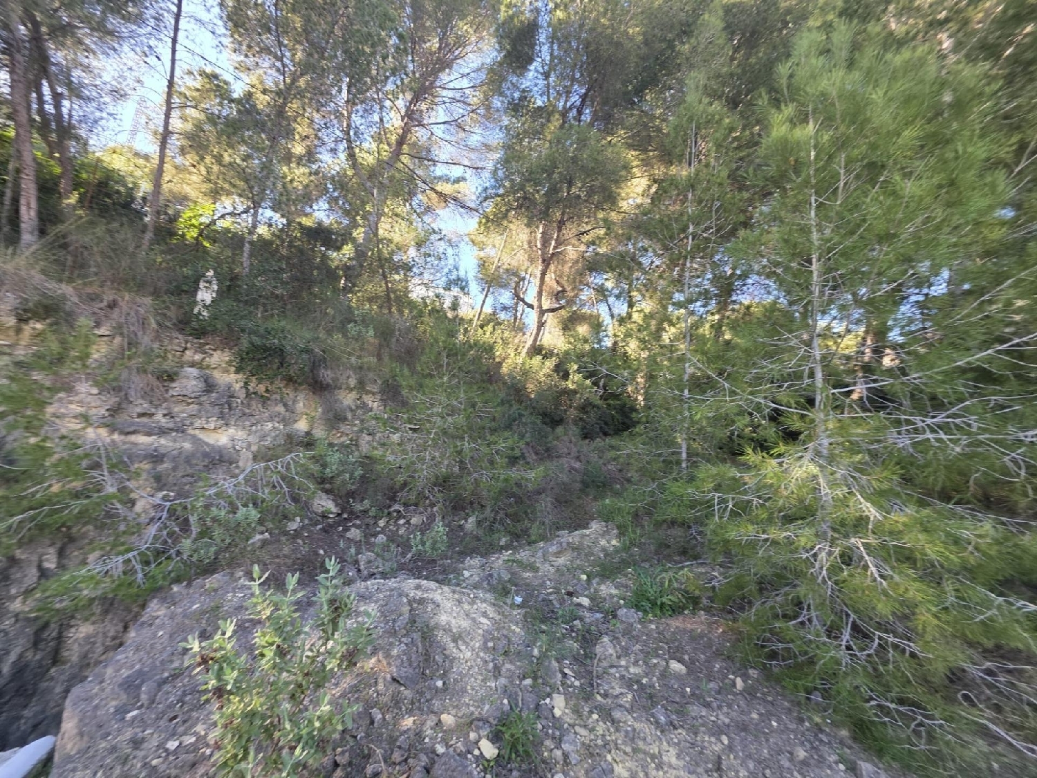  till salu tomt Pilar De La Horadada Baix Segura 6