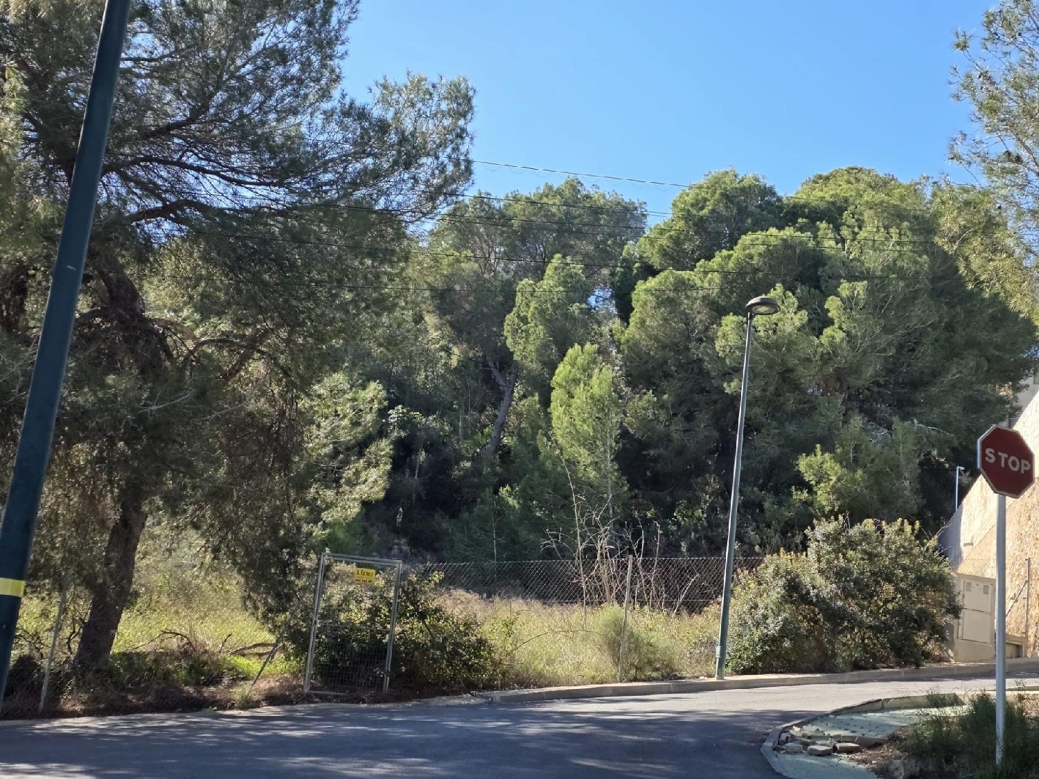  till salu tomt Pilar De La Horadada Baix Segura 2