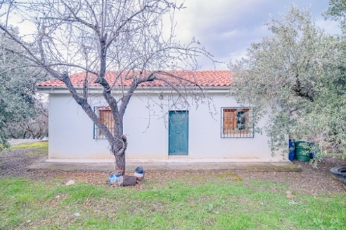 Pinos Genil Vega De Granada tomt foto 6375911