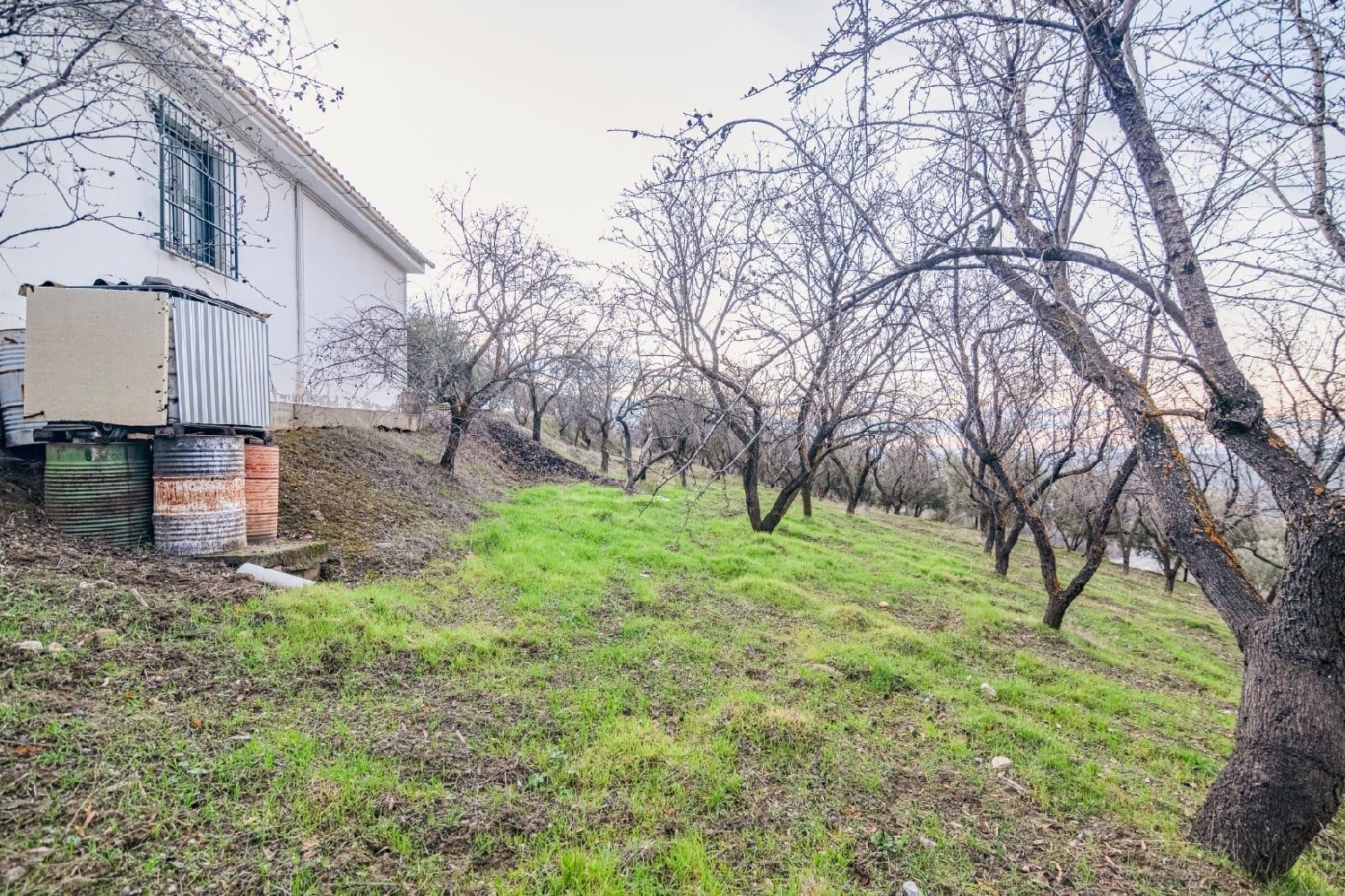  till salu tomt Pinos Genil Vega De Granada 5