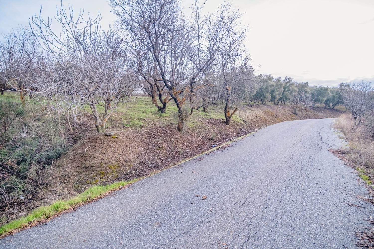  till salu tomt Pinos Genil Vega De Granada 7