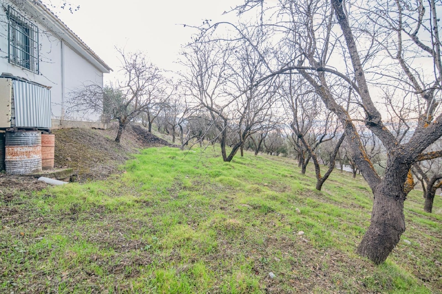  till salu tomt Pinos Genil Vega De Granada 4