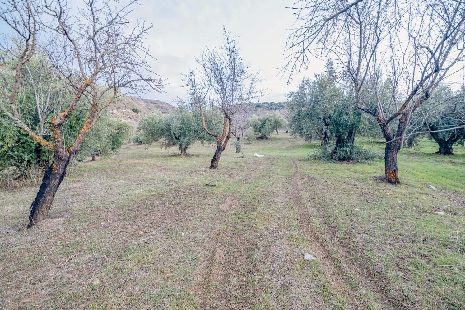  till salu tomt Pinos Genil Vega De Granada 8