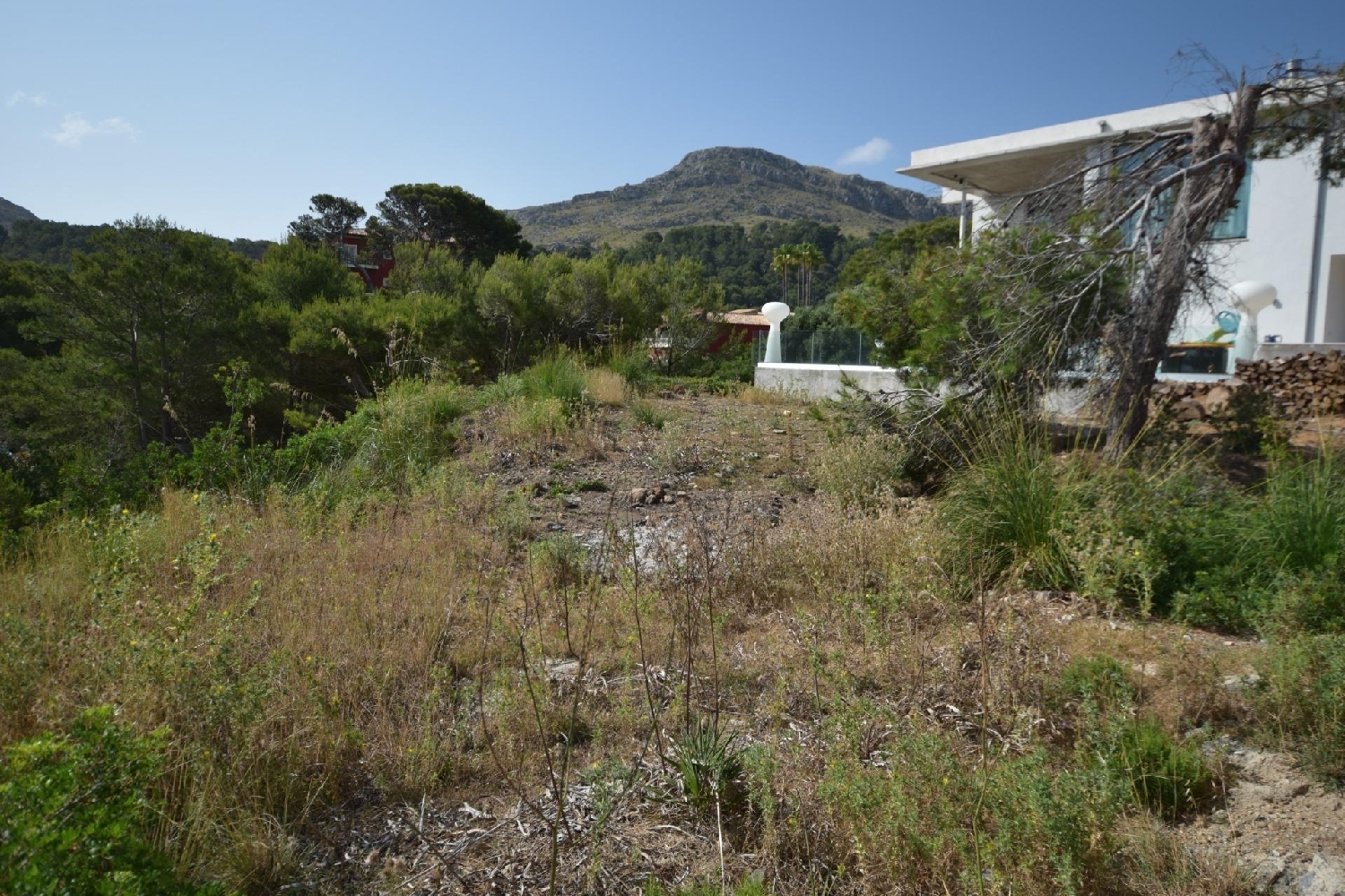  kaufen Grundstück Pollença Nord 4