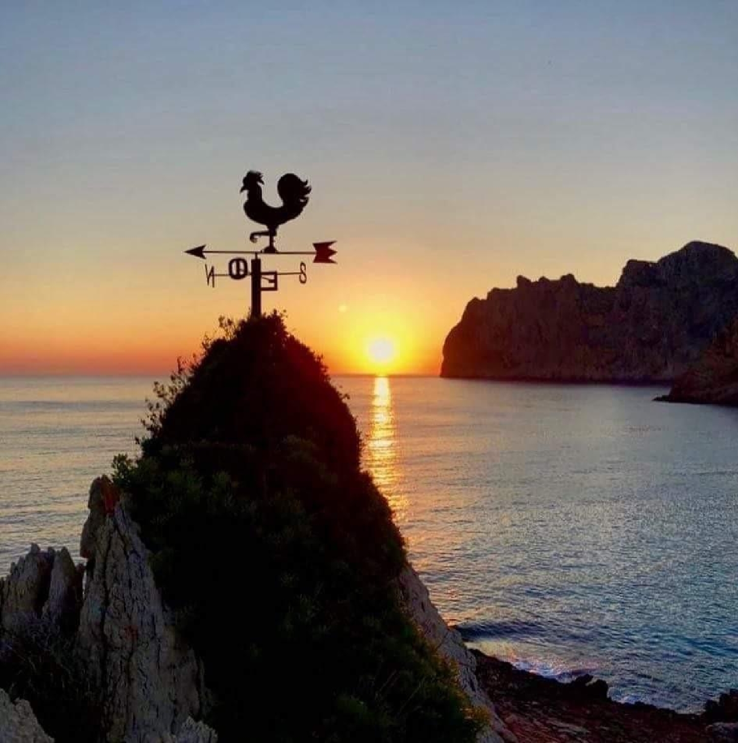  kaufen Grundstück Pollença Nord 8