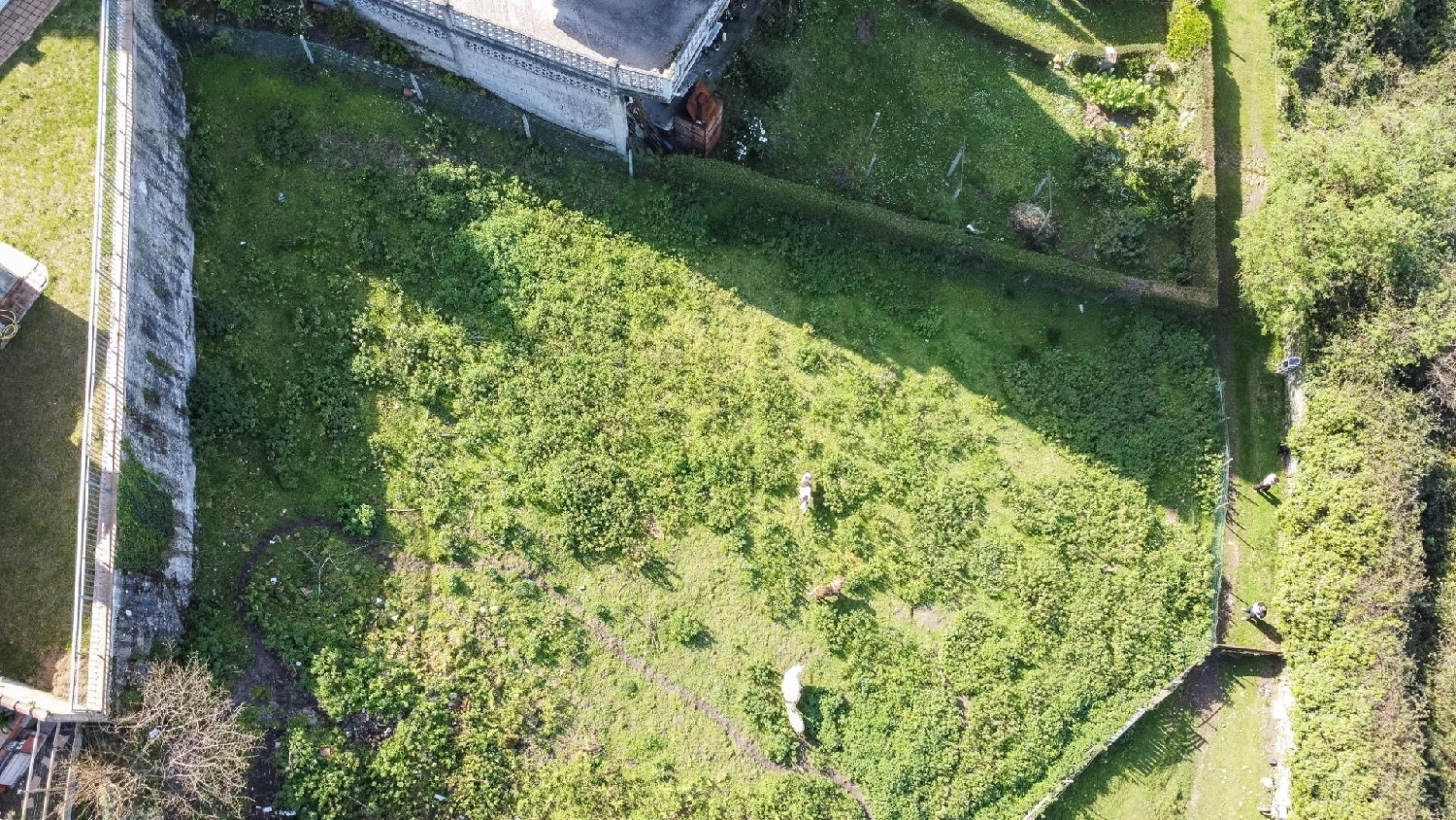  for sale plot Pravia Avilés 7