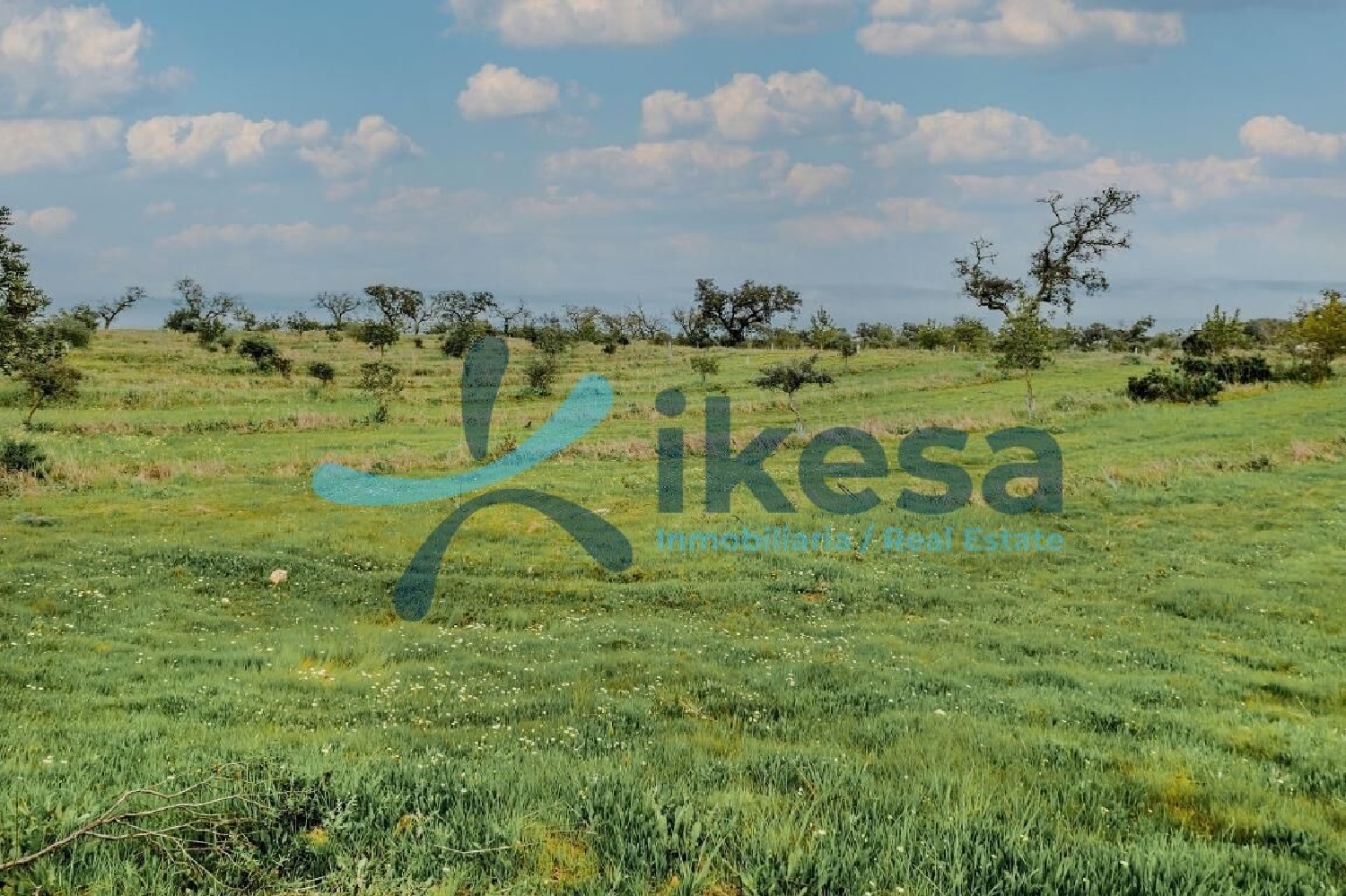  à vendre terrain Puebla De Guzman Andévalo (El) 5