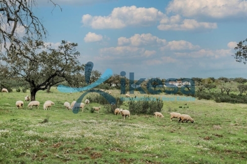 Puebla De Guzman Andévalo (El) tomt foto 6372549
