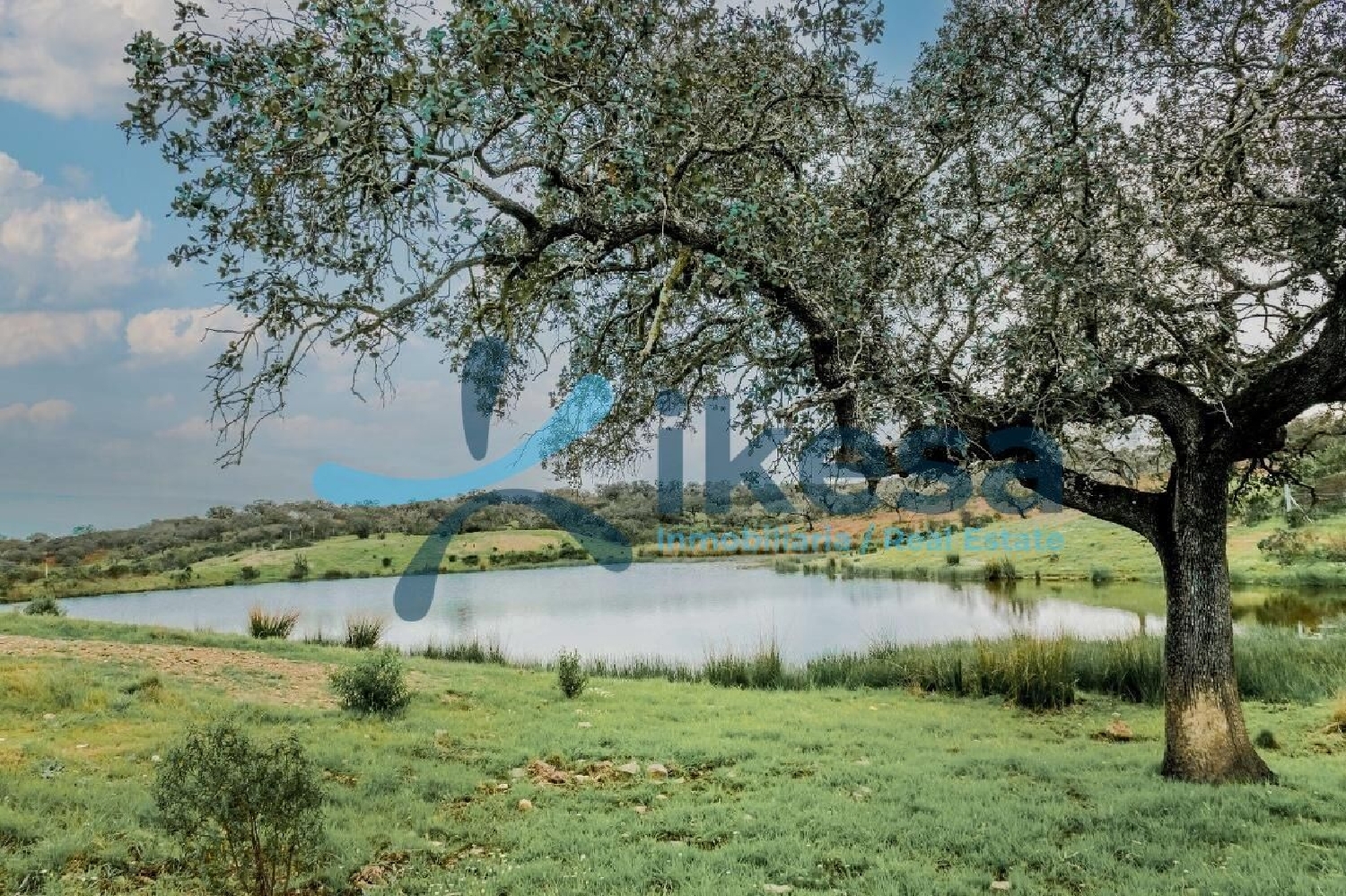  à vendre terrain Puebla De Guzman Andévalo (El) 8