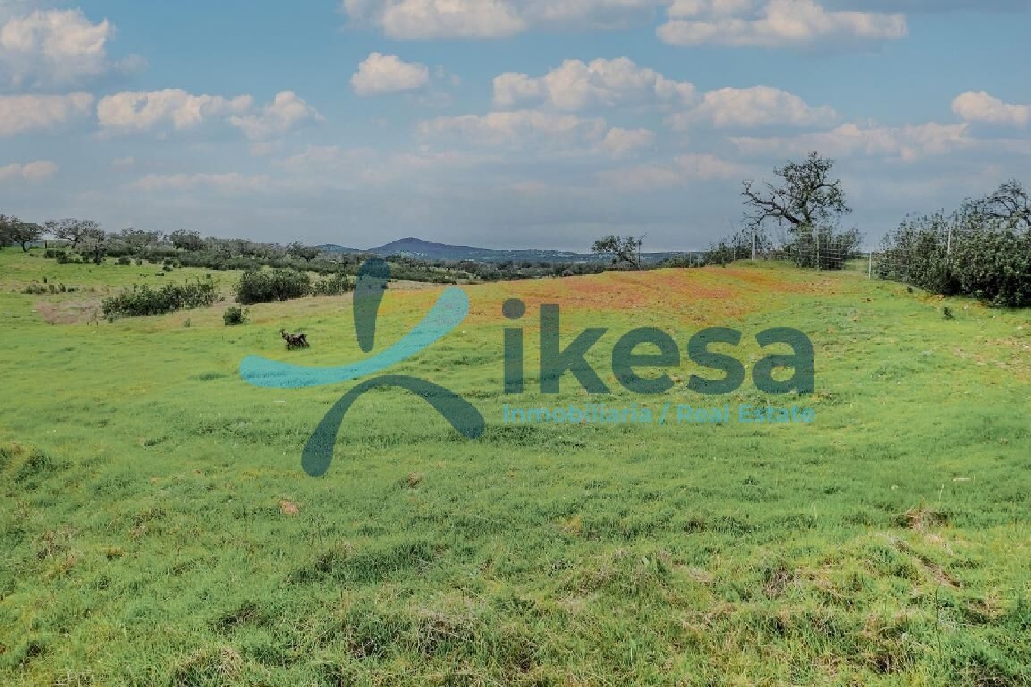  à vendre terrain Puebla De Guzman Andévalo (El) 6