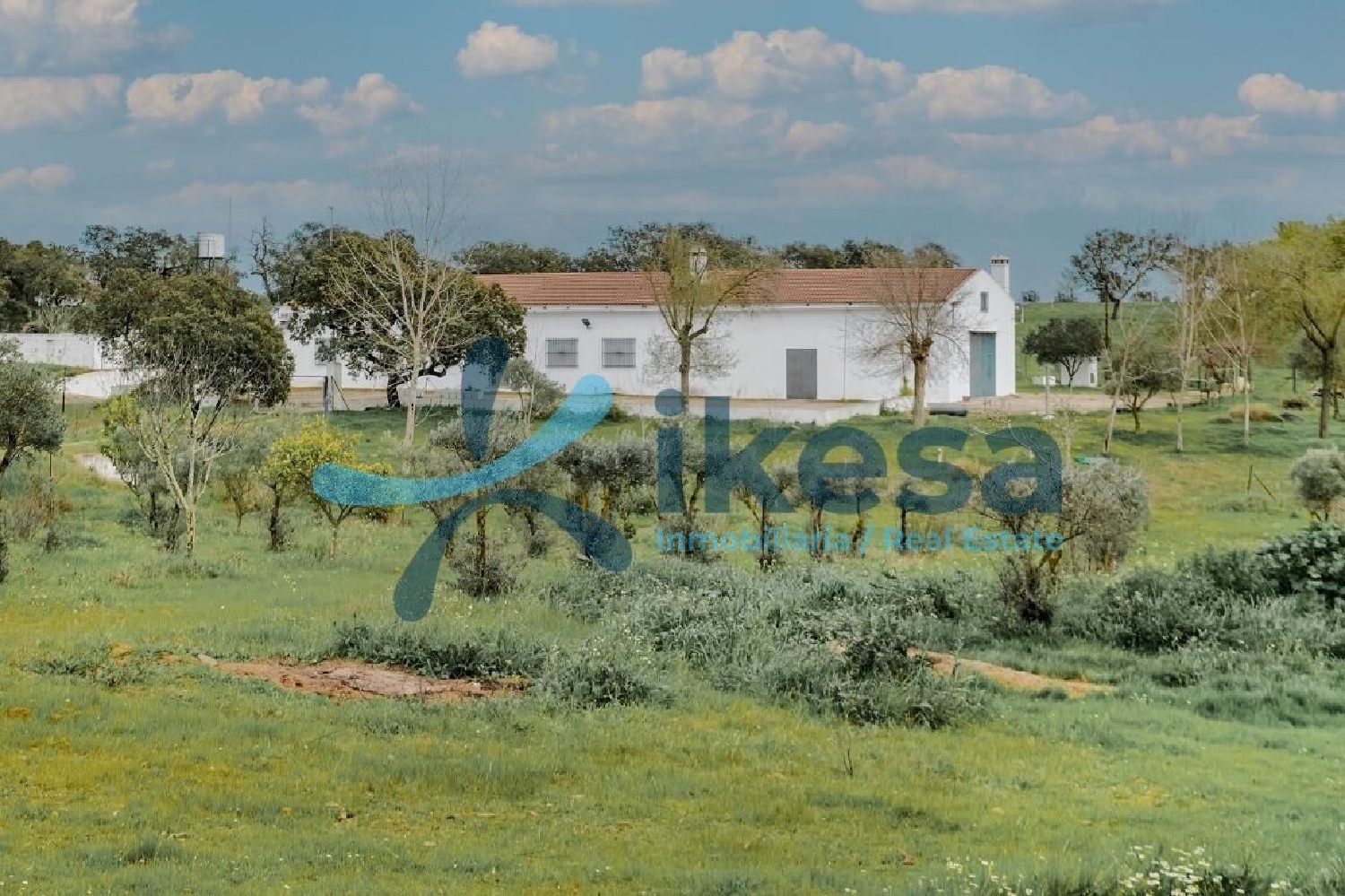  à vendre terrain Puebla De Guzman Andévalo (El) 3