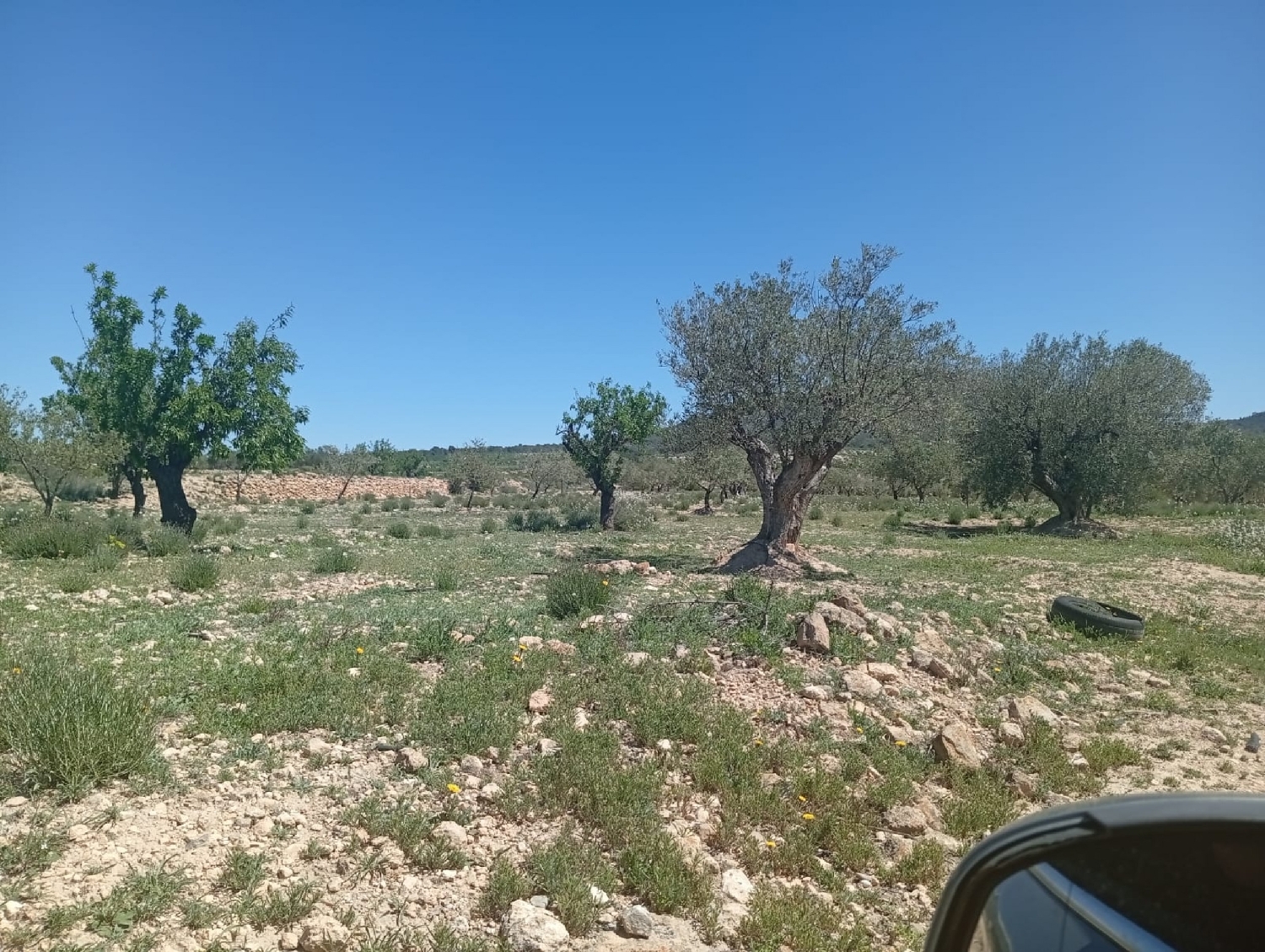  till salu tomt Salinas Alt Vinalopó 6