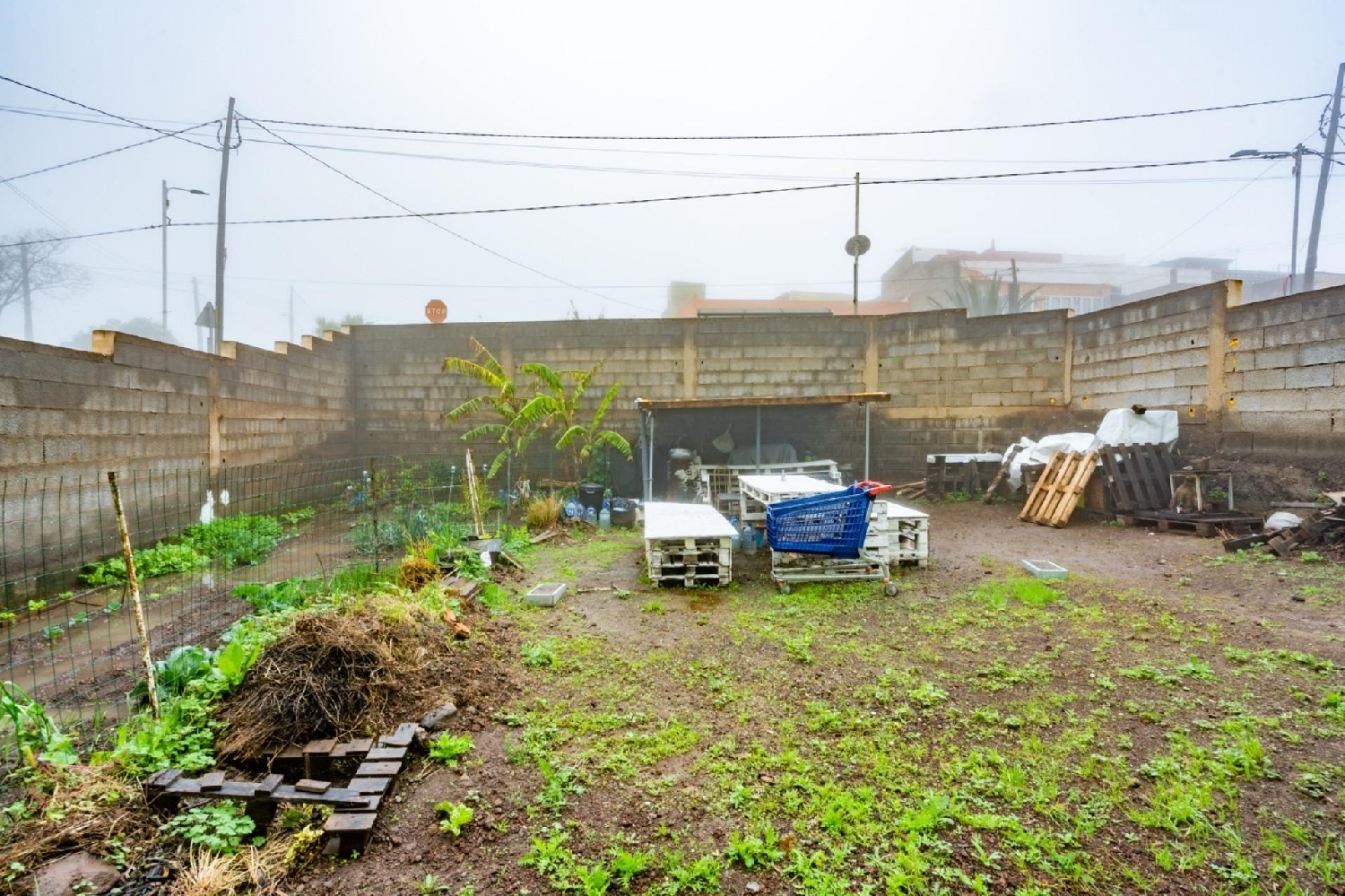  till salu tomt San Cristóbal De La Laguna Centro 38201 Zona Metropolitana 4