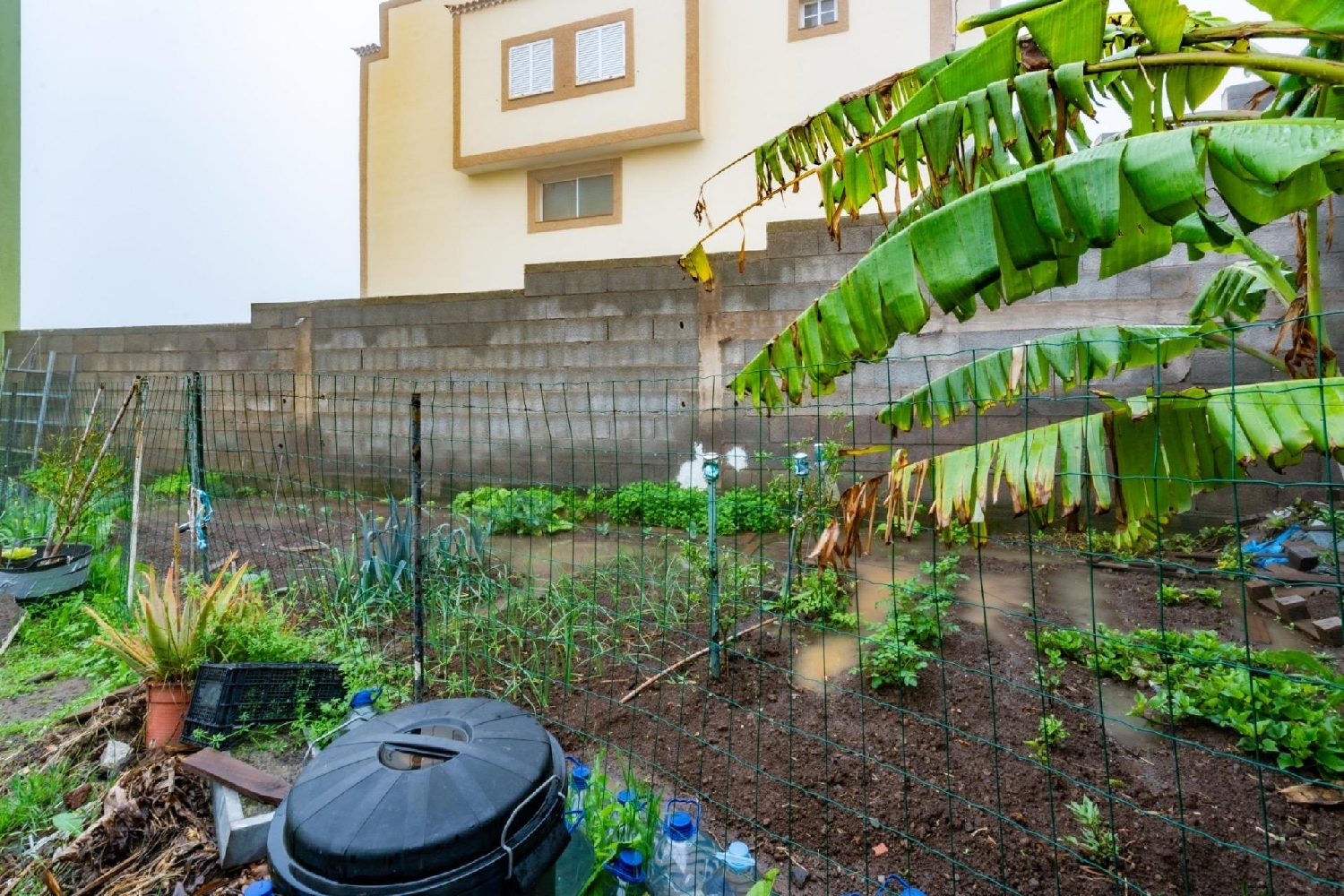  till salu tomt San Cristóbal De La Laguna Centro 38201 Zona Metropolitana 8