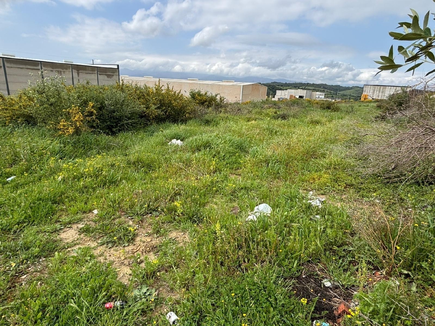 kaufen Grundstück San Roque Campo De Gibraltar 3