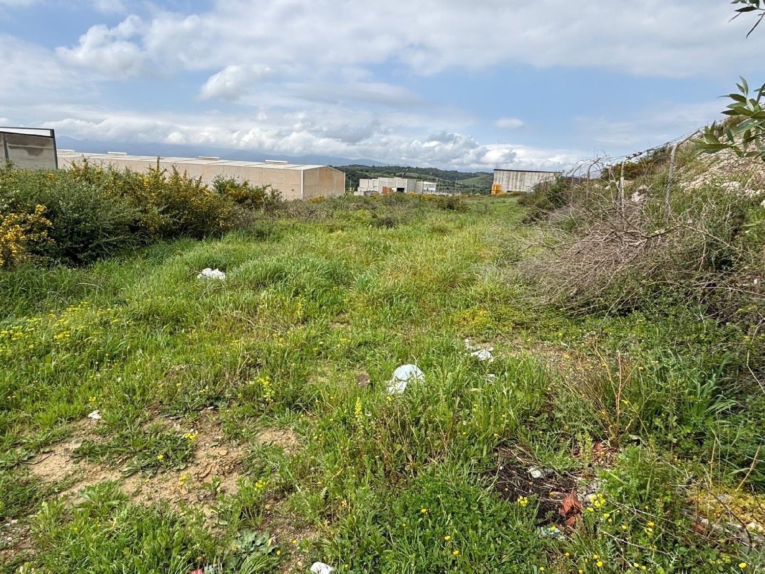 kaufen Grundstück San Roque Campo De Gibraltar 4