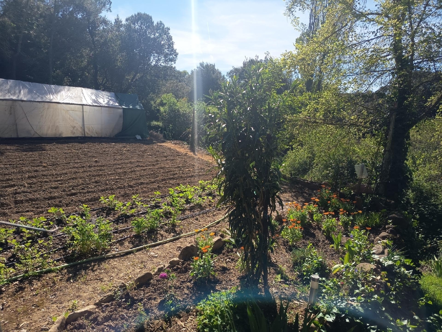  en venta terreno Sánsoain Media Oriental 7