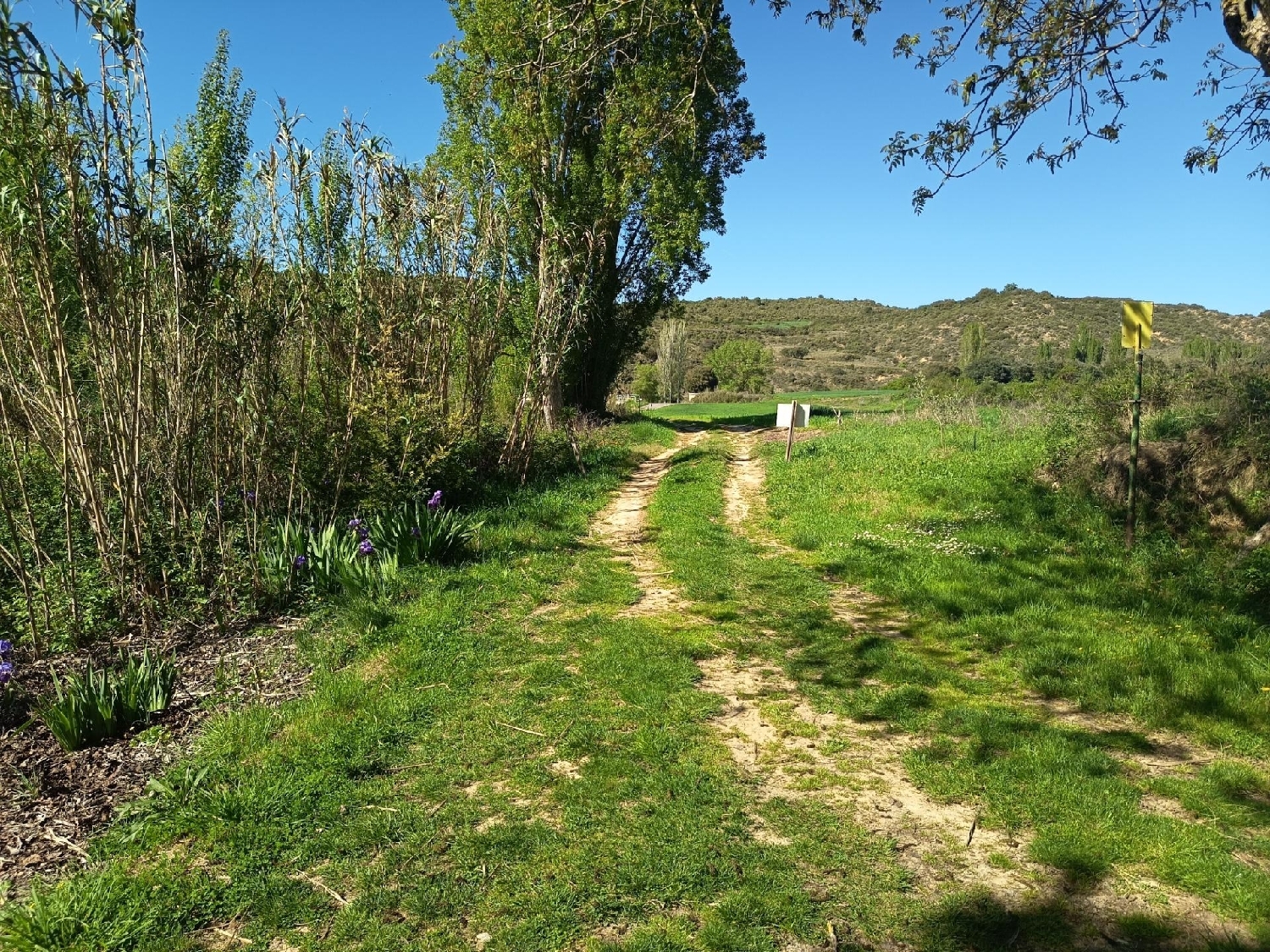  en venta terreno Sánsoain Media Oriental 6