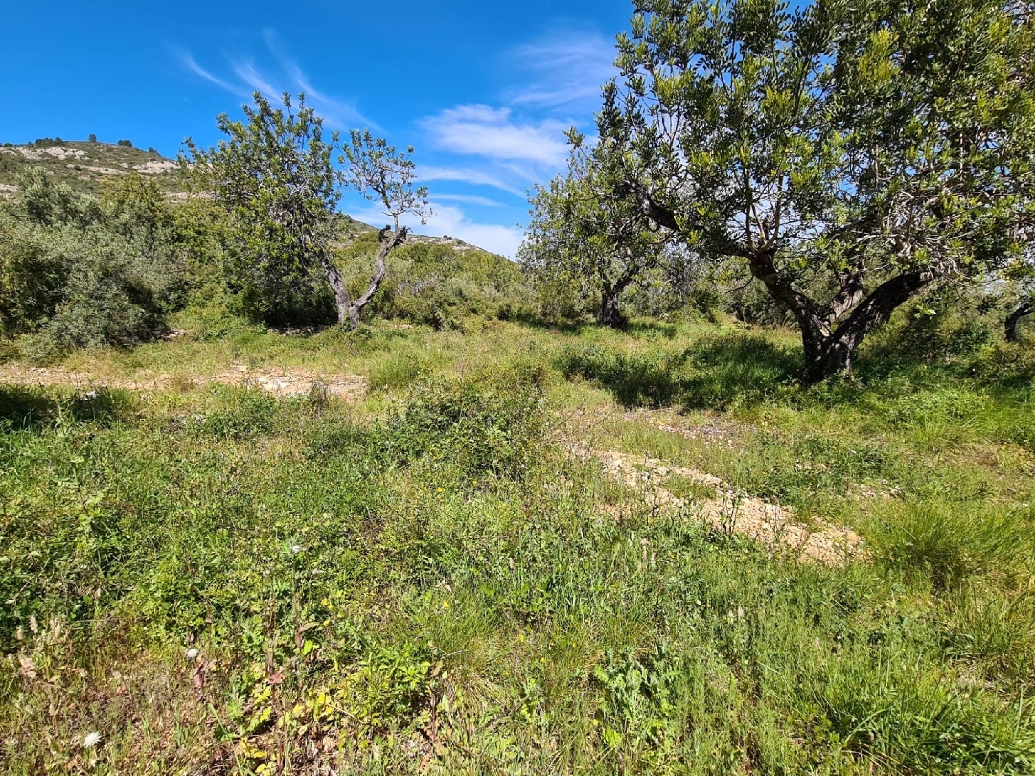  kaufen Grundstück Sant Carles De La Ràpita Montsià 6