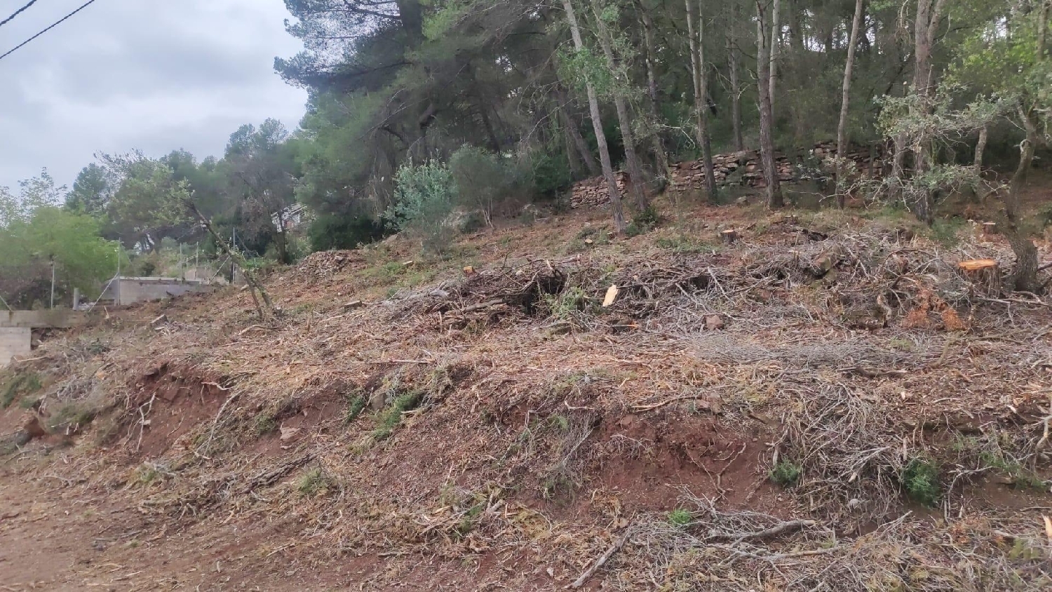  for sale plot Sant Joan De Mediona Alt Penedès 1