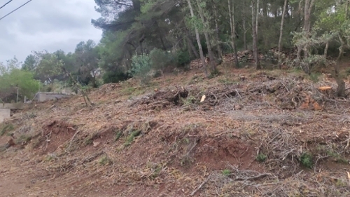Sant Joan De Mediona Alt Penedès plot foto 6377415