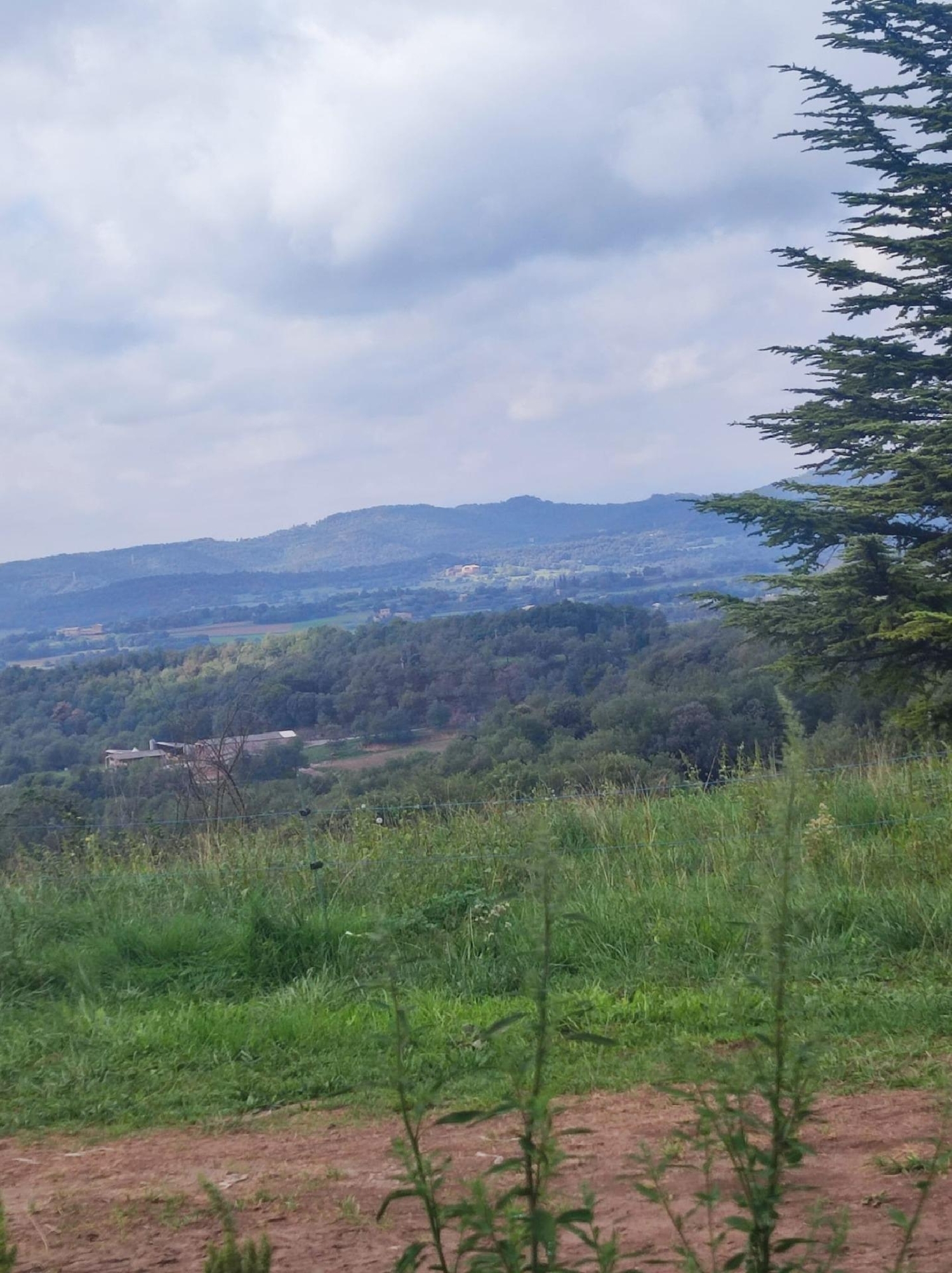  for sale plot Sant Joan De Mediona Alt Penedès 5