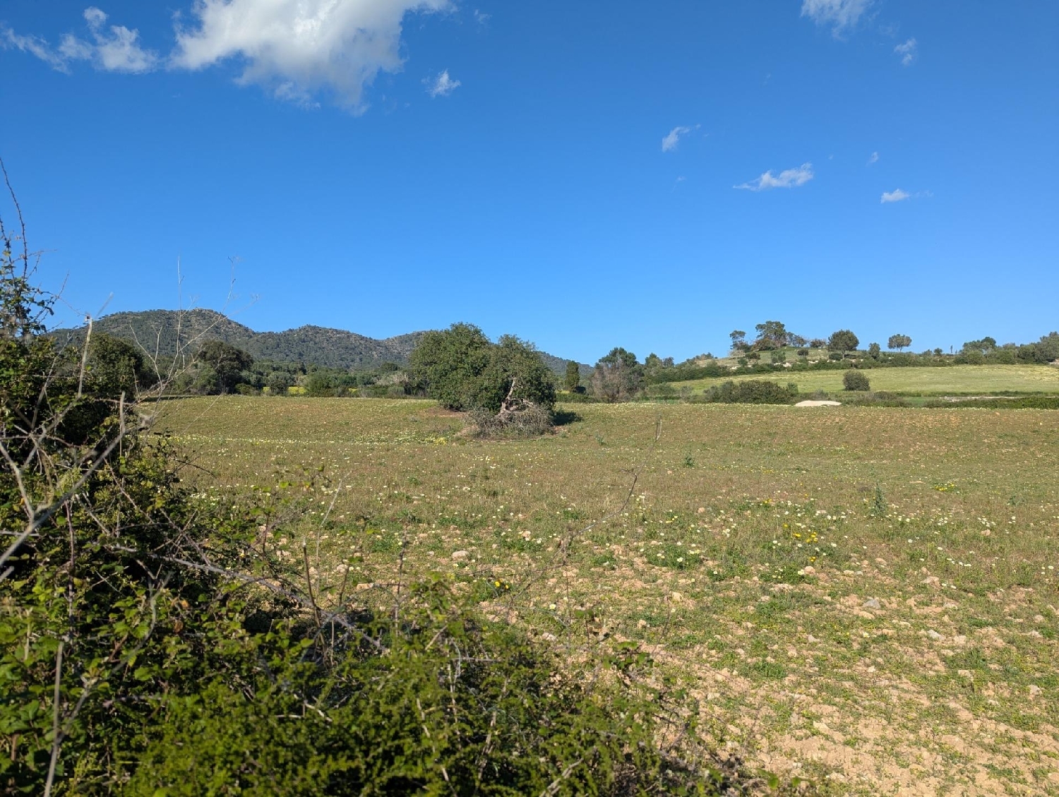  te koop perceel Sant Llorenç Des Cardassar Llevant 2