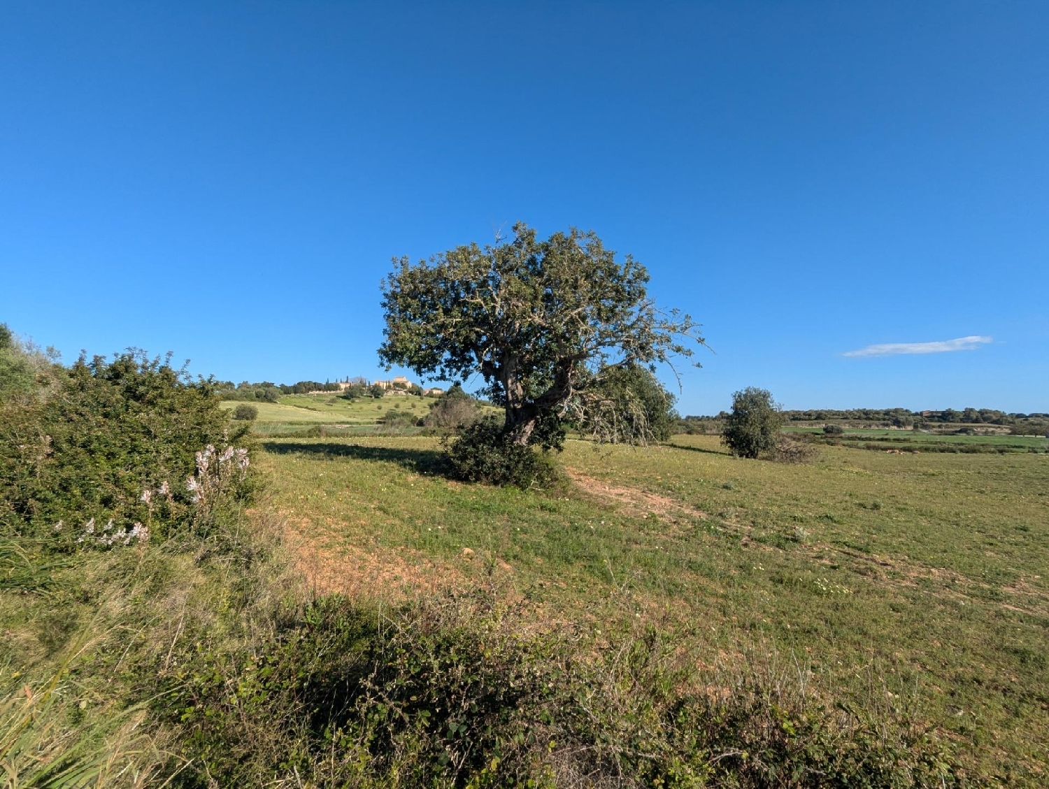  te koop perceel Sant Llorenç Des Cardassar Llevant 1