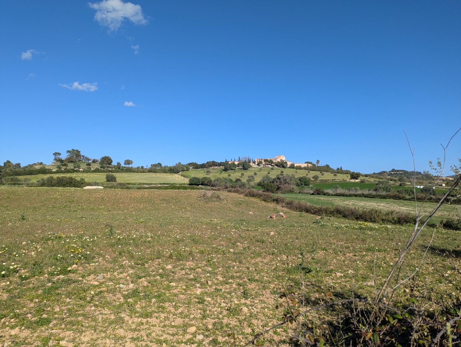  te koop perceel Sant Llorenç Des Cardassar Llevant 3