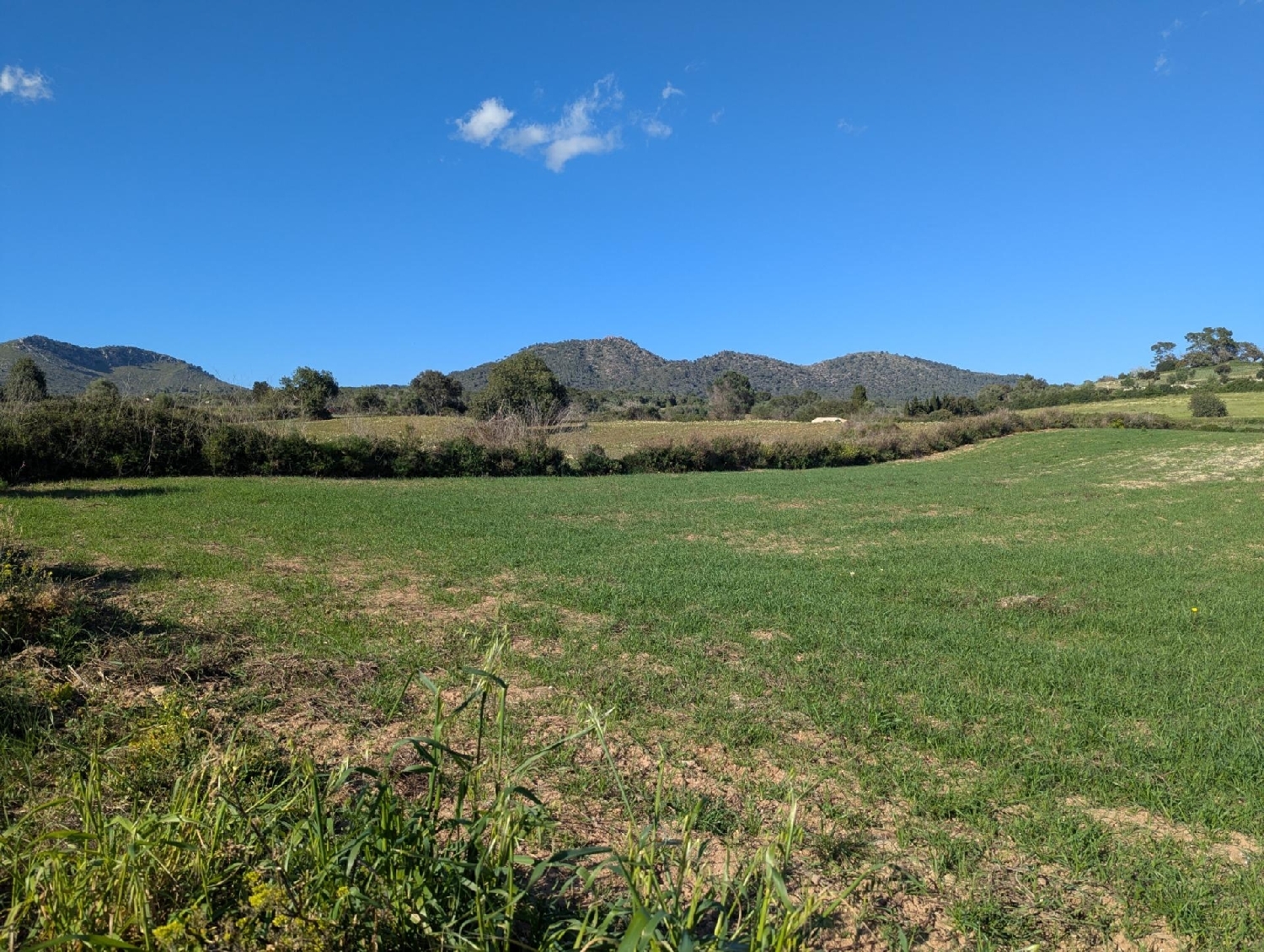  te koop perceel Sant Llorenç Des Cardassar Llevant 6