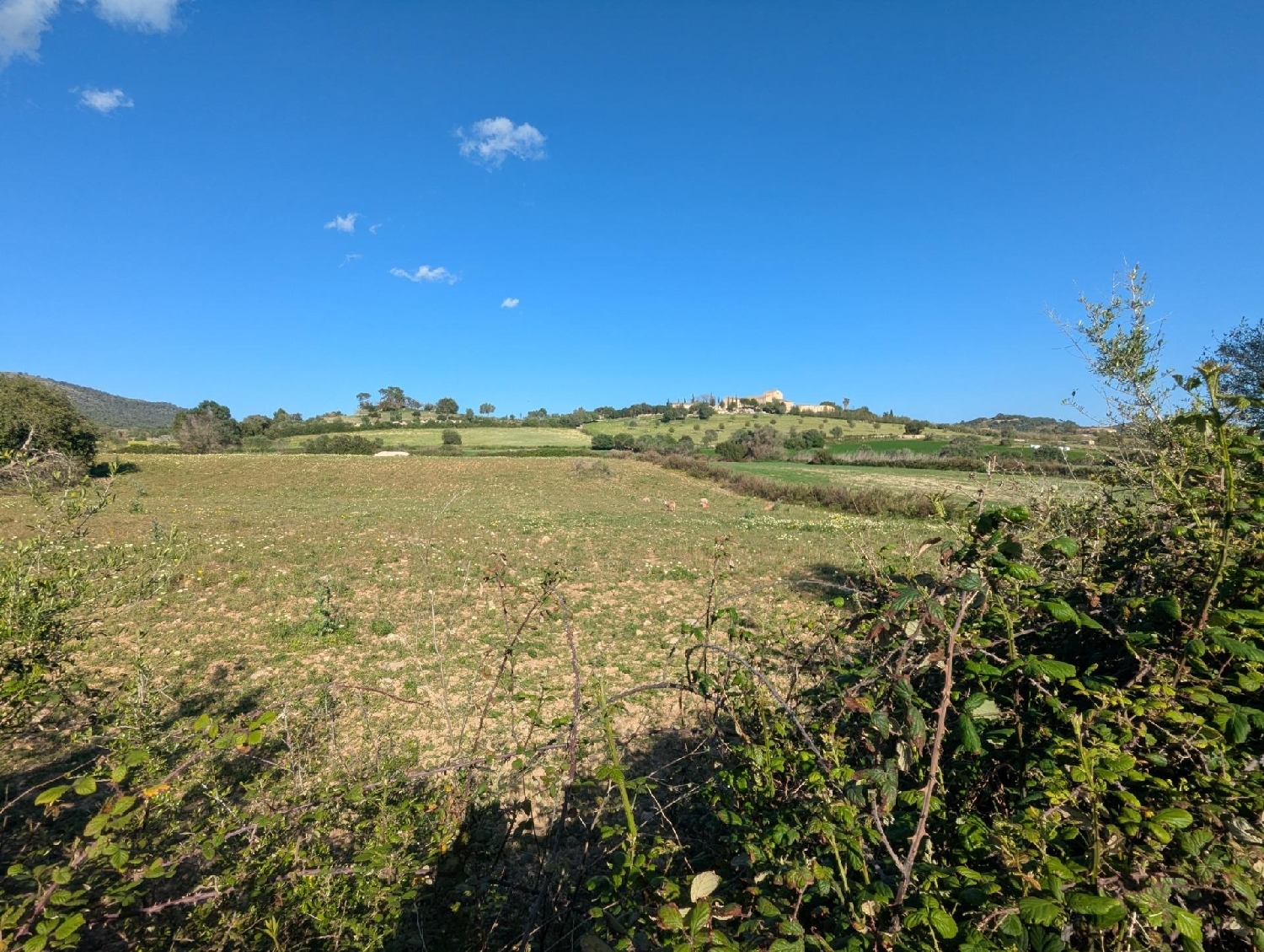  te koop perceel Sant Llorenç Des Cardassar Llevant 4