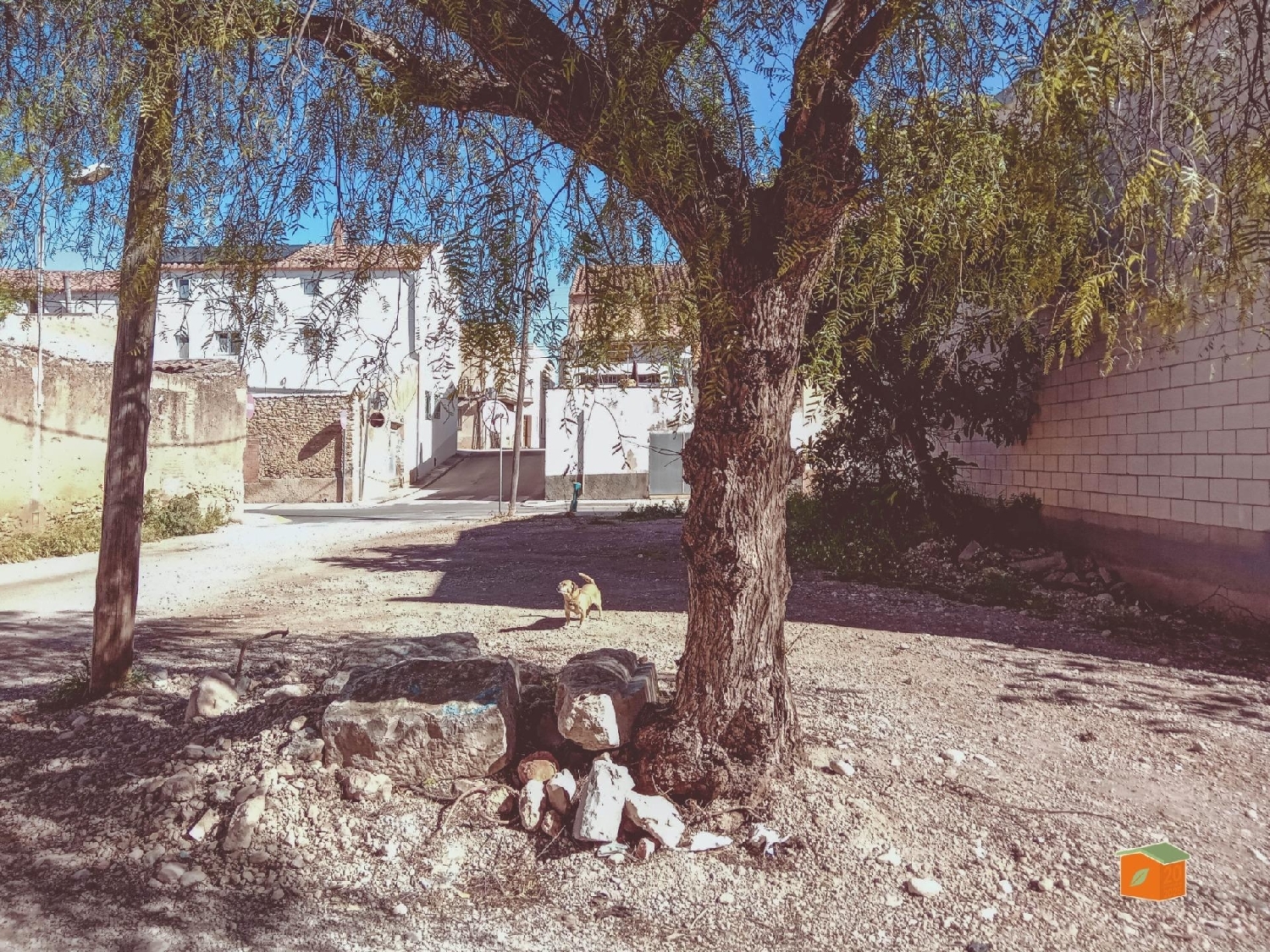  à vendre terrain Santa Barbara Levante Almeriense 5