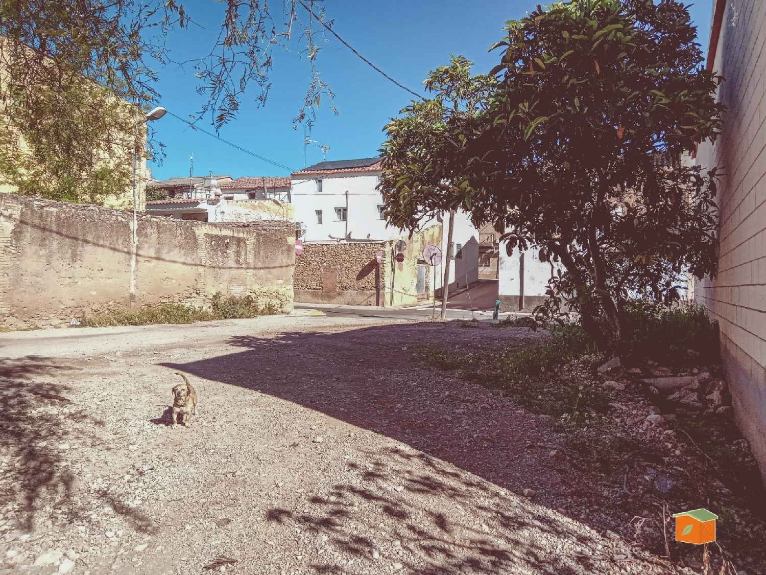  à vendre terrain Santa Barbara Levante Almeriense 6