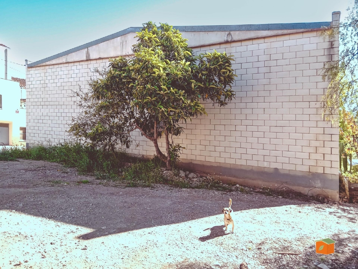  à vendre terrain Santa Barbara Levante Almeriense 2