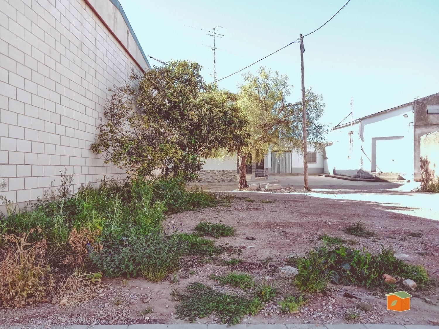  à vendre terrain Santa Barbara Levante Almeriense 4